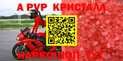 шишки Аргун
