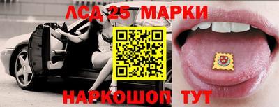 шишки Аргун