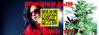 шишки Аргун