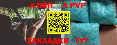 шишки Аргун
